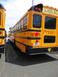lot 253 image: IC 77 PASSENGER SCHOOL BUS