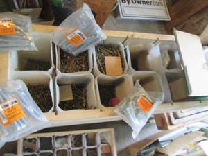 Large assortment of standard nails ...