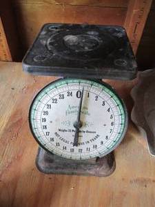 Vintage Metal American Family Scale...