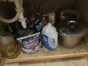 Content of cupboard under sink to i...