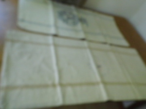 2 heavy duty flour sacks