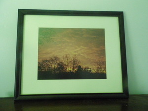 Framed sunset behind the tree line ...