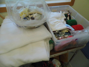 Covered tote with Padding and a var...