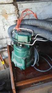 lot 225 image: Zoeller Sump Pump W Hose.