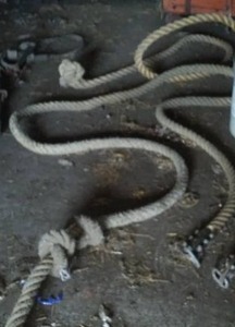 lot 232 image: Tow Ropes (15 Ft) 1.75 diameter.