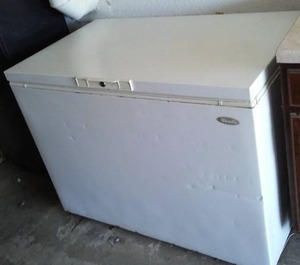 lot 310 image: Stand Up Freezer.
