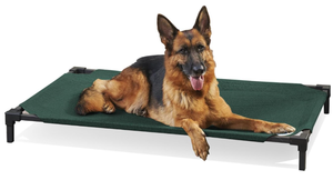 lot 240 image: Coolaroo Cooling Elevated Dog Bed PRO Large