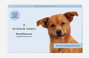 lot 300 image: Wisdom Panel Breed Discover