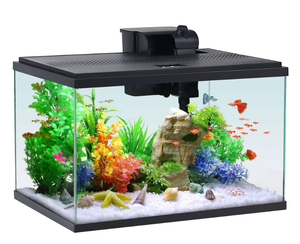 lot 200 image: Aqua Culture 10-Gallon Glass Aquarium Starter Kit