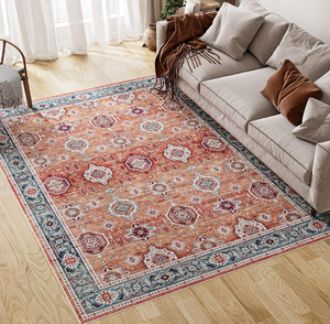 lot 605 image: Dripex Area Rugs - Stain Resistant Washable Rug Distressed Boho Rugs