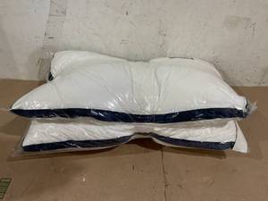 lot 527 image: Slybear Two pack Pillows White