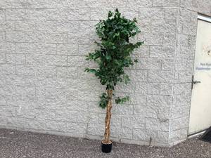 lot 416 image: Nearly Natural 7ft. Ficus Artificial Tree