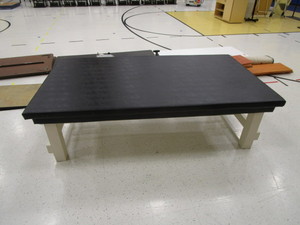 lot 42 image: Padded Physical Therapy Table 42x77x24
