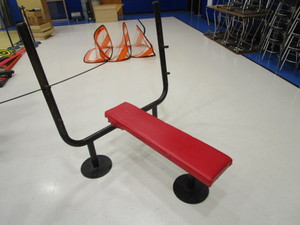 lot 162 image: Flat Bench Press