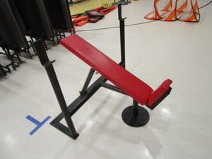 lot 163 image: Incline Bench Press