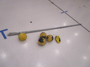 lot 209 image: Tether Balls & Pole