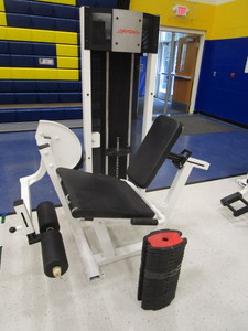 lot 118 image: Lifetime Fitness Leg Extension Machine