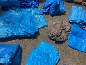lot 127 image: 12 ASSORTED SIZED TARPS AND STORAGE BIN