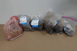 lot 136 image: Heavy Toast Oak Chips and Apple Chips for Brewing - 5 Lbs Total