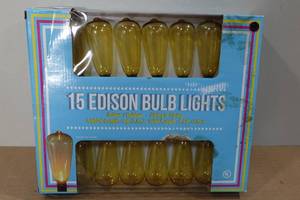 lot 358 image: IndoorOutdoor Edison Bulb String Light Set