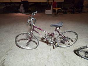 lot 217 image: Lot of 2 Bicycles - One needs brake work, the other has a tire missing spokes