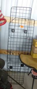 Dog gate for your car