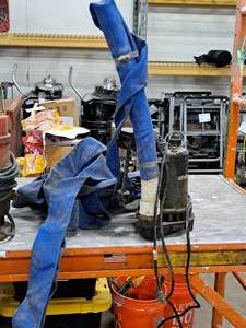 lot 73 image: Everbilt Professional Sump Pump with Hose