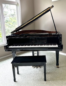 Elegant Weber Grand Piano