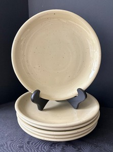 6 Dinner Plates, 2 SaladDessert Plates and Serving Bowl by Galaxy