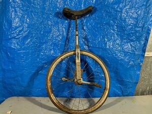 Schwinn Unicycle