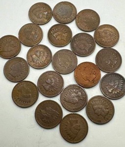 Lot of 20 Indian Head Pennies