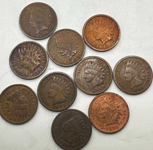 Pre 1900s Indian Head Pennies (includes 2- 1894s)