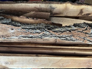 lot 64 image: Black  Walnut Lumber many boards