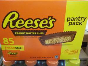 85 ct Reeses Snack Size Peanut Butter Cups