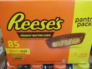 85 ct Reeses Snack Size Peanut Butter Cups