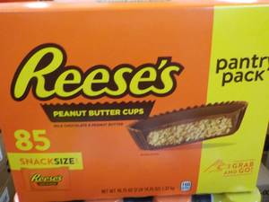 85 ct Reeses Snack Size Peanut Butter Cups