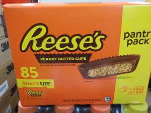 85 ct Reeses Snack Size Peanut Butter Cups