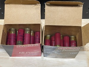 lot 9 image: 12 Gauge Shotgun Shells
