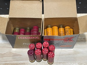 lot 10 image: 12 Gauge Shotgun Shells