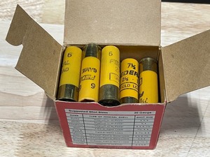 lot 11 image: 20 Gauge Shotgun Shells
