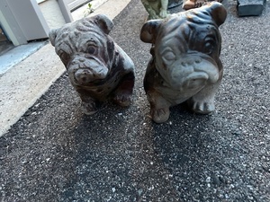 2 Bulldog Stone Statues