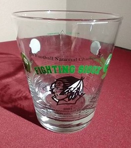 lot 126 image: 2001 UND Sioux Football Championship Tumbler