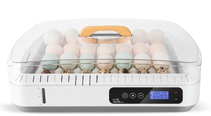 lot 172 image: 36 Egg Incubator with Automatic Egg Turning, Temperature Control, Water Alarm