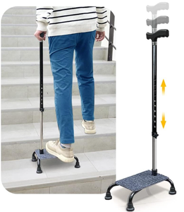 lot 210 image: Stair Climbing Cane Half Steps for Stairs Lifts