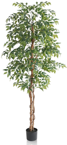lot 413 image: Artificial Tree Italian Ruscus Tree Potted Natural Wood Trunk