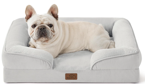 lot 425 image: Bedsure Orthopedic Dog Bed for Medium Dogs