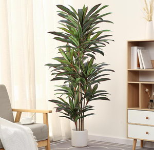 lot 81 image: Dracaena Artificial Plant Red Yucca Silk Tree Faux Plants Indoor Tall House Floor Plants