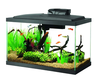 lot 95 image: Aqueon Aquarium Starter Kit, 10 Gallon Glass Fish Tank, LED Lighting