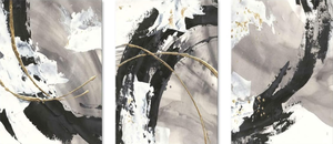 lot 386 image: 3PCS Black and White Canvas Art Wall Decor for Living Room Framed Abstract