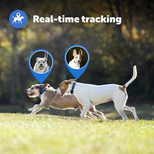 lot 23 image: PetSafe Guardian GPS and Tracking Dog Fence Collar